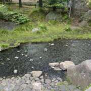 ヒメ日記 2026/04/27 11:28 投稿 鳴海 おふくろ