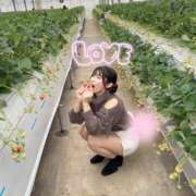 ヒメ日記 2026/04/17 14:06 投稿 ひなみ ハピネス東京 吉原店