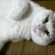 ヒメ日記 2026/09/04 07:35 投稿 麗奈 ぎんねこ