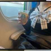 ヒメ日記 2026/04/19 17:44 投稿 せいら 川崎人妻城