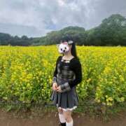 ヒメ日記 2026/05/08 11:38 投稿 せいら 川崎人妻城