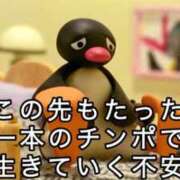 ヒメ日記 2026/04/20 13:13 投稿 よつば BARUBORA熊本店