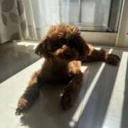 ヒメ日記 2026/04/12 20:38 投稿 阿須川　きよ スタイリッシュ秘書