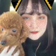 ヒメ日記 2026/04/13 10:09 投稿 阿須川　きよ スタイリッシュ秘書