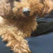 ヒメ日記 2026/04/13 14:12 投稿 阿須川　きよ スタイリッシュ秘書