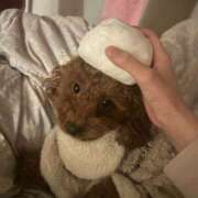 ヒメ日記 2026/04/13 17:31 投稿 阿須川　きよ スタイリッシュ秘書