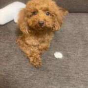 ヒメ日記 2026/04/13 23:08 投稿 阿須川　きよ スタイリッシュ秘書