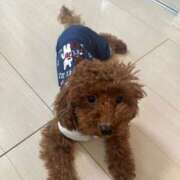 ヒメ日記 2026/04/14 09:48 投稿 阿須川　きよ スタイリッシュ秘書