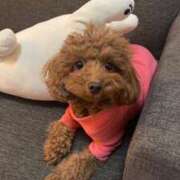 ヒメ日記 2026/04/14 14:47 投稿 阿須川　きよ スタイリッシュ秘書