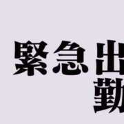 ヒメ日記 2026/06/30 18:06 投稿 小泉 熟女の風俗最終章 新横浜店