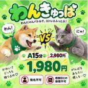 ヒメ日記 2026/09/09 19:37 投稿 なぎさ 2980円（にゃんきゅっぱ）