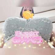ヒメ日記 2026/04/20 07:42 投稿 ひかる ぽちゃSPA
