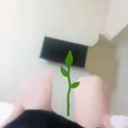 ヒメ日記 2026/04/17 02:12 投稿 あすか 蒲田ウルトラギャラクシー