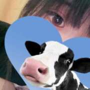 ヒメ日記 2026/04/17 16:01 投稿 ののあ Gossip girl成田店