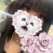 ヒメ日記 2026/04/25 23:15 投稿 ののあ Gossip girl成田店