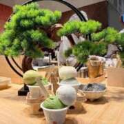 ヒメ日記 2026/04/30 13:25 投稿 みき 中洲秘密倶楽部