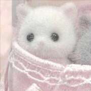 ヒメ日記 2026/04/14 16:56 投稿 さち デリヘルラボ・クレージュ