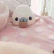 ヒメ日記 2026/04/16 16:26 投稿 さち デリヘルラボ・クレージュ