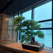 ヒメ日記 2026/07/02 23:27 投稿 まいか an_an（アンアン）