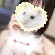 ヒメ日記 2026/04/22 13:30 投稿 ちはや 浜松ハンパじゃない学園