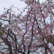 ヒメ日記 2026/04/10 22:26 投稿 鈴川りな プルデリR40滋賀店