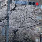 ヒメ日記 2026/04/09 15:41 投稿 緑（みどり） 松戸デリヘル　熟女ヘブン