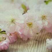 ヒメ日記 2026/04/13 16:21 投稿 緑（みどり） 松戸デリヘル　熟女ヘブン