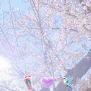 ヒメ日記 2026/04/17 16:37 投稿 れいあ THE ESUTE 渋谷