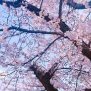 ヒメ日記 2026/04/09 19:50 投稿 まい（花嫁） Yシャツと私