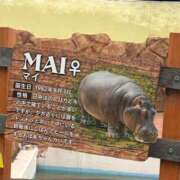 ヒメ日記 2026/04/11 16:08 投稿 まい（花嫁） Yシャツと私