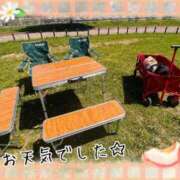 ヒメ日記 2026/04/12 21:51 投稿 まい（花嫁） Yシャツと私