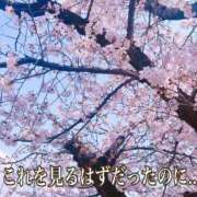 ヒメ日記 2026/04/13 22:31 投稿 まい（花嫁） Yシャツと私