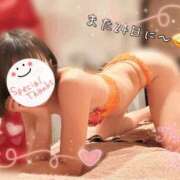 ヒメ日記 2026/05/21 20:50 投稿 まい（花嫁） Yシャツと私