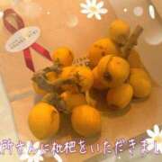 ヒメ日記 2026/06/10 21:26 投稿 まい（花嫁） Yシャツと私