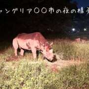 まい（花嫁） お詫び🙇‍♀️ Yシャツと私