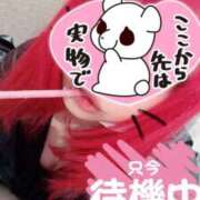 ヒメ日記 2026/04/26 16:55 投稿 かぐら clubさくら梅田店