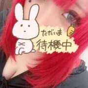 ヒメ日記 2026/04/29 14:29 投稿 かぐら clubさくら梅田店