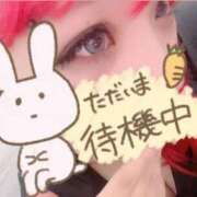 ヒメ日記 2026/05/10 14:15 投稿 かぐら clubさくら梅田店