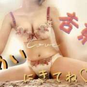 ヒメ日記 2026/05/16 18:26 投稿 杏奈◇あんな 人妻吐息