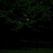 ヒメ日記 2026/06/11 12:41 投稿 美莉(みり) 立川人妻研究会