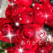 ヒメ日記 2026/04/16 13:16 投稿 かよこ 越谷熟女デリヘル マダムエプロン