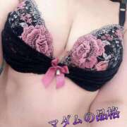 くるみ 夜更かししない？ マダムの品格