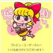 ヒメ日記 2026/05/22 15:37 投稿 つばき The White