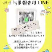 なでこ 🍒ちょっとしたお知らせ🍒 ミラー