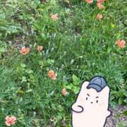 ヒメ日記 2026/05/11 12:39 投稿 なでこ ミラー
