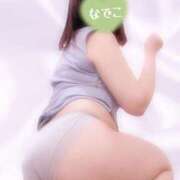 ヒメ日記 2026/05/14 14:44 投稿 なでこ ミラー