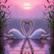 ヒメ日記 2026/04/10 12:41 投稿 長谷川のぞみ 熟女パラダイス岐阜羽島店（カサブランカグループ）