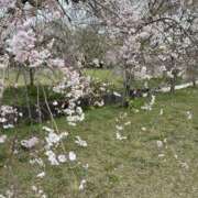 ヒメ日記 2026/04/12 16:44 投稿 あめ 逢って30秒で即尺