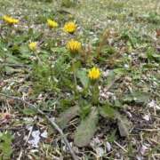 ヒメ日記 2026/04/14 08:53 投稿 あめ 逢って30秒で即尺