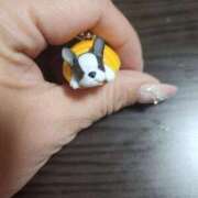 ヒメ日記 2026/04/14 10:08 投稿 かなみ 素人妻達☆マイふぇらレディー